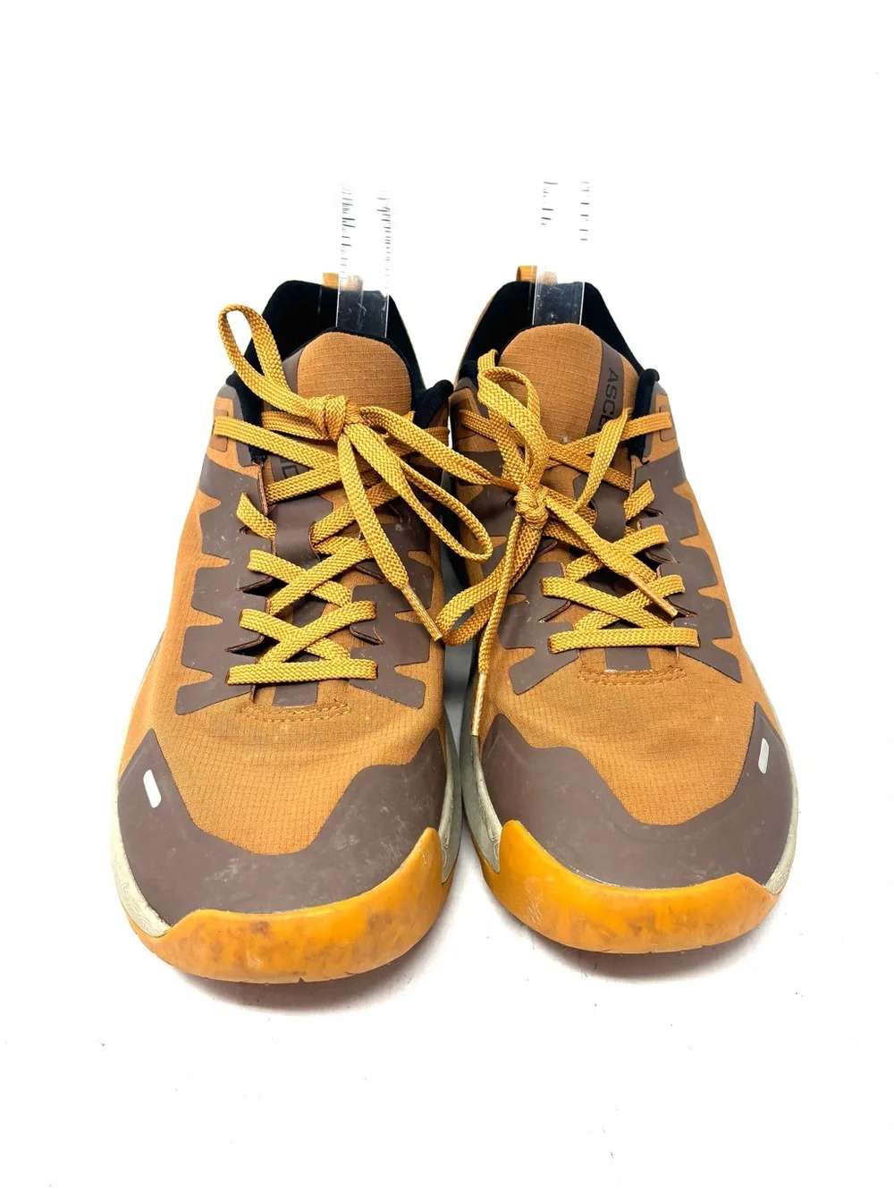 Ascend Sneakers